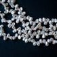 Freshwater Pearl Natural Color Cleopatra Petal Flower 1Strand